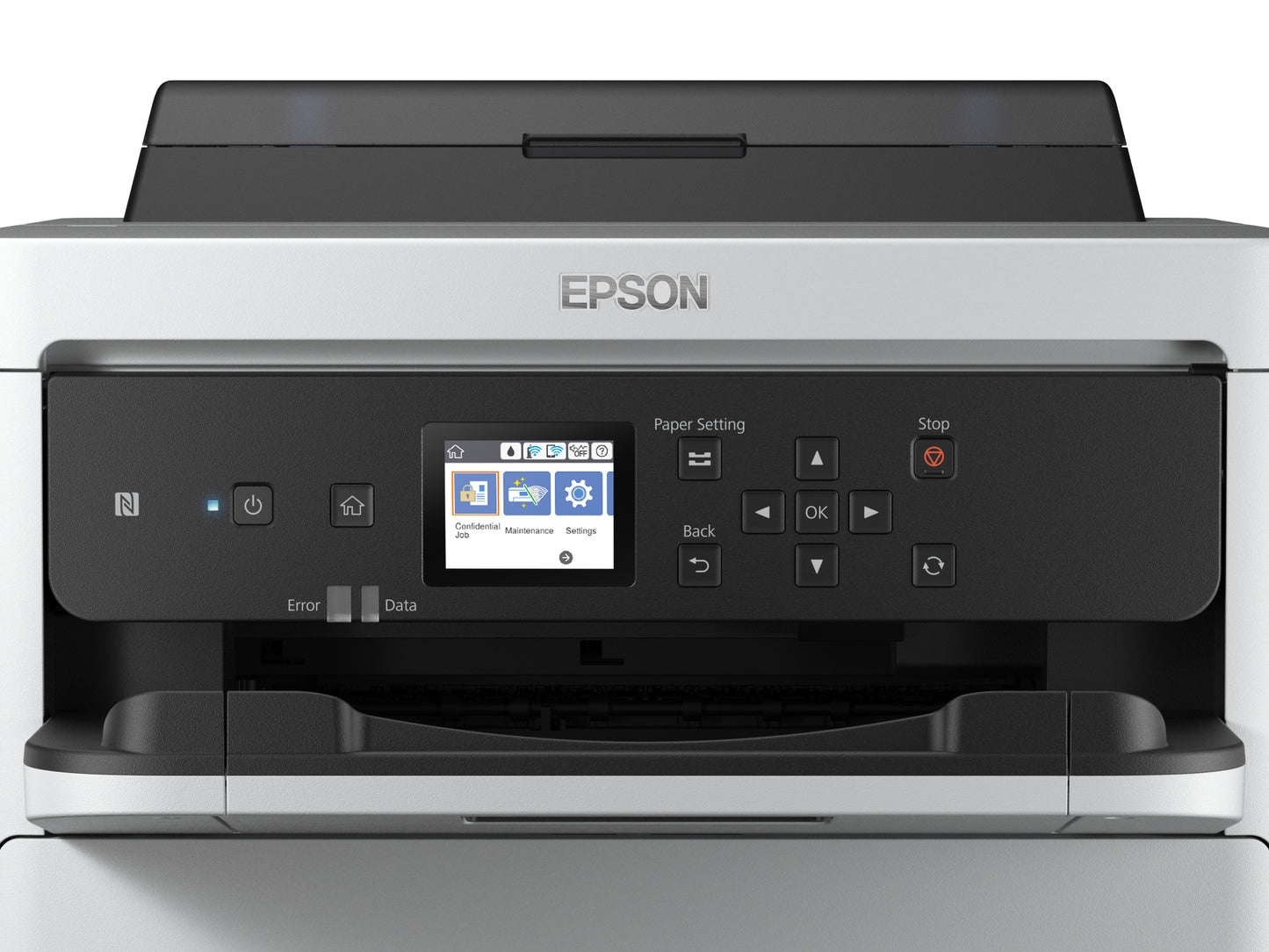 Tinta Magenta Epson T01D300 | 20,000 Páginas, Compatible WF-PRO C579r