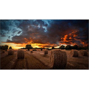 881022P - Imagen Principal