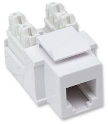 Jack Keystone Intellinet 210843 | RJ11, RJ12, Impacto Blanco