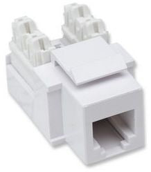 Jack Keystone Intellinet 210843 | RJ11, RJ12, Impacto Blanco
