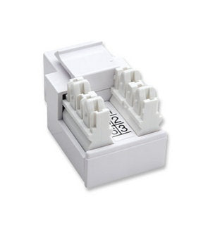 Jack Keystone Intellinet 210843 | RJ11, RJ12, Impacto Blanco