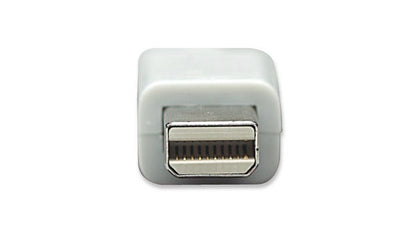 Adaptador DisplayPort Mini Intellinet 322461 | 1080p, 10.8 Gbit/s