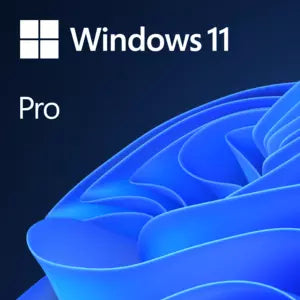 Windows Server Standard 2022 | 64-bit, Legalización OEM